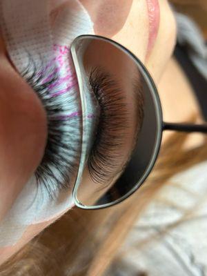 TrueVolume lash extensions