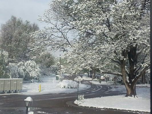 Winter snow