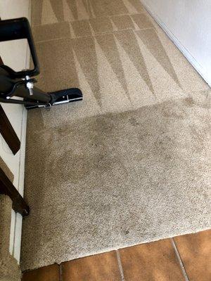 Carpet Cleaning work in progress