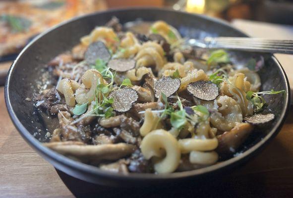 Beef cheeks with pasta and shaved  truffles