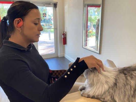 Leroy the Cat greeting clients