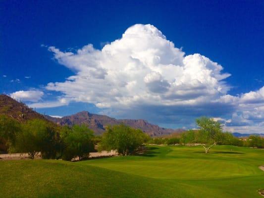 Hole #8 on the Sidewinder golf course at Gold Canyon Golf Resort