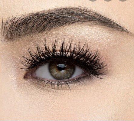 Volume lashes