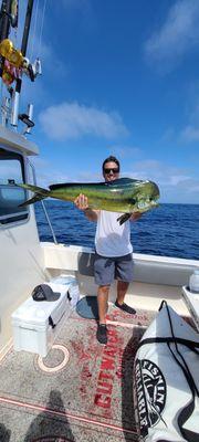 Mahi Mahi also known as Dorado