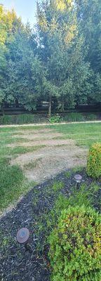 Brownsboro Lawn Care