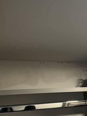 Water and mold