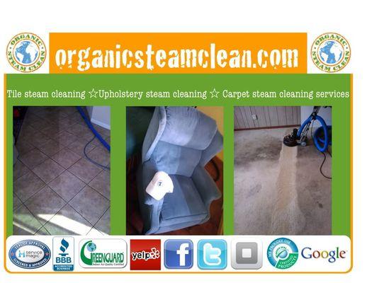 Organic Steam Clean