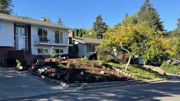 Our front yard, just landscaped. October 1,2024