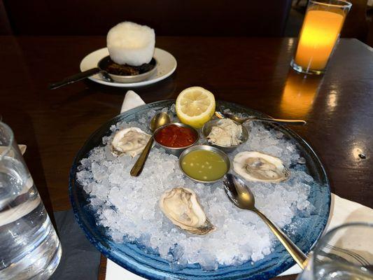 Cold Water Oysters