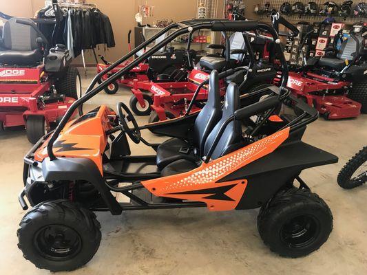 POLARIS HAMMERHEAD MUDHEAD SE GO KART, 2 PASSENGER, HEADLIGHTS, YOUTH