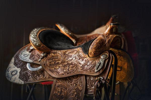 Horse photography, saddle