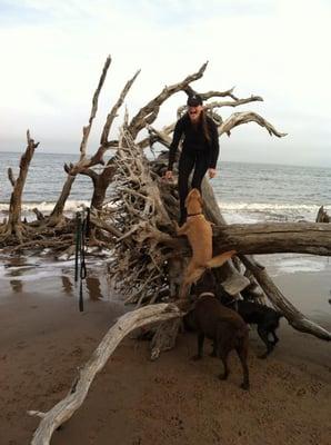 Beach Day!