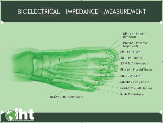 Bioscan Wellness scan  to assess if your organs are balanced, stressed or weakened.  Call us today.