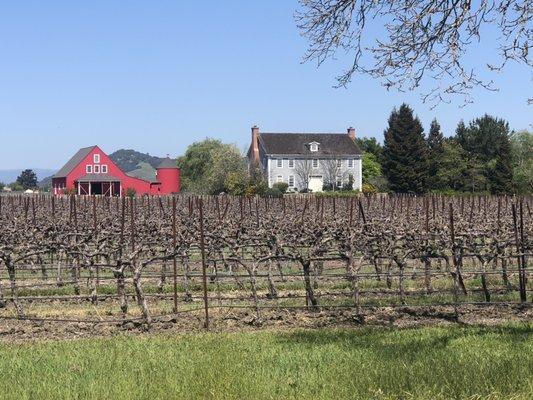 I love searching for exactly what my clients dreams are made of.... Beautiful wine country living