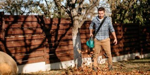 3 Types of Leaf Blowers for Homeowners