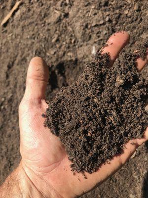 A handful of Topsoil!