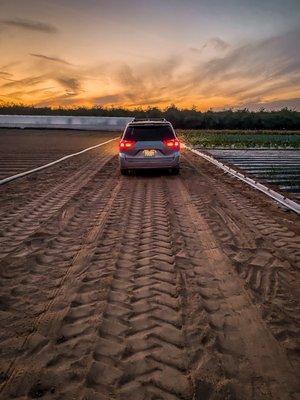 Keep it moving forward. Madera Toyota #rentacar #sienna