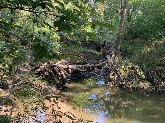 Indian Creek Trail