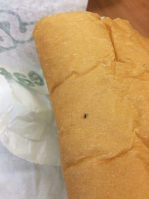 If you want food with bugs or moldy sandwiches this is the Subway to come too!