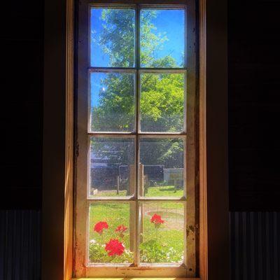 Store window looking out to farm.