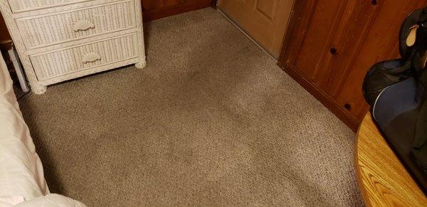 More disgusting sticky carpet pictures