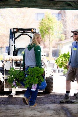 Our team loading plants