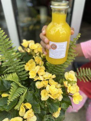 Small-Batch Turmeric & Ginger Root Lemonade