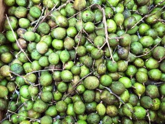 Quenepas / Limoncillo