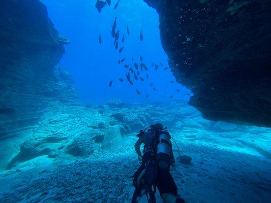 Rock formations and fish near Ni'ihau