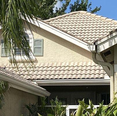 Roof AFTER Soft Washing