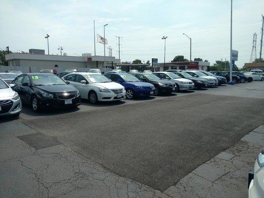 The cars are lined up in a formation which seems like I am being welcomed to the dealership as I arrive.