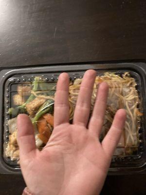 Yakisoba, dish is size of hand!