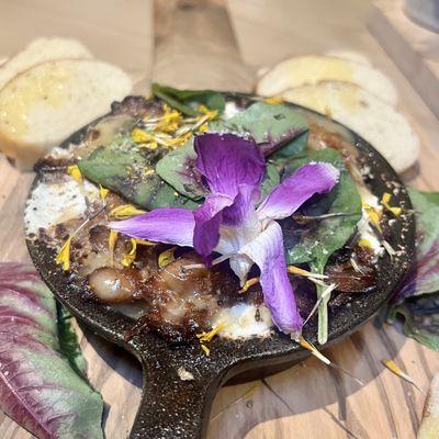 Baked PA mushroom - whipped goat cheese, pickled fennel and onion, micro greens, focaccia