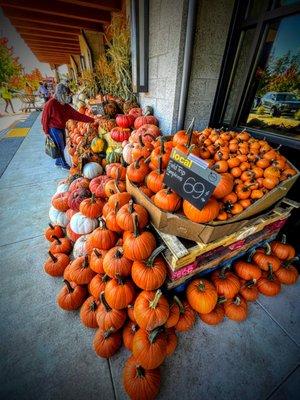 Seasonal pumpkins on a beautiful October day