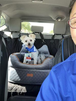 First-day shadowing Pet Therapy