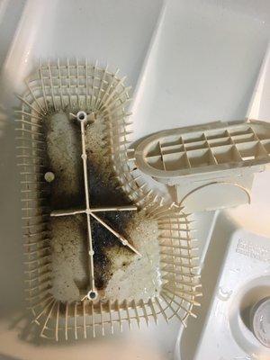 The inside of our dishwasher. Gross!