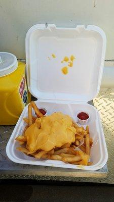 Single order of cheese fries.