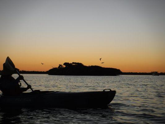 Kayaking, Rookery Bay