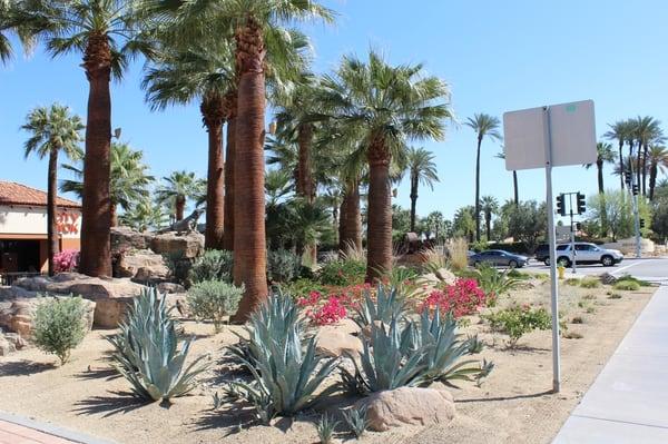 Desert Springs Marketplace in Palm Desert, CA.