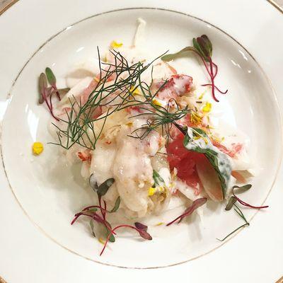 Lemongrass Poached Lobster Tail with Grapefruit & Fennel Salad and Ginger, Coconut Espuma