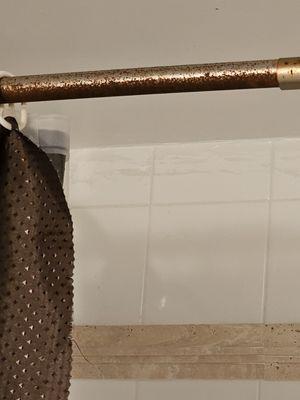 Rusted shower rod, fell down 2 times, till we fixed it. Plus toilet handle was broken and ran all the time