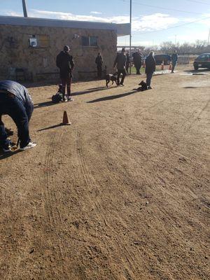 David walking Smoky #pitbull