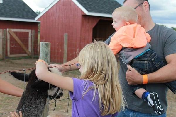 The alpaca were the only animals that seemed uninterested in receiving pets, but there was a nice employee that brought one over