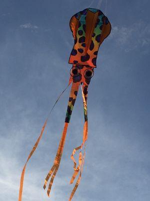 Flying kites at grommet park