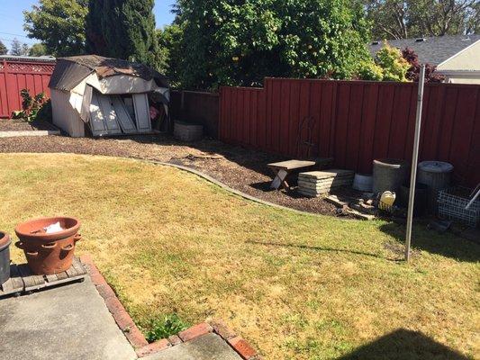 Final stage with tree completely removed and shed damaged beyond repair.