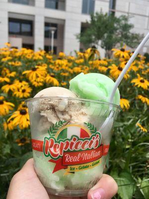 Repicci's Real Italian Ice & Gelato