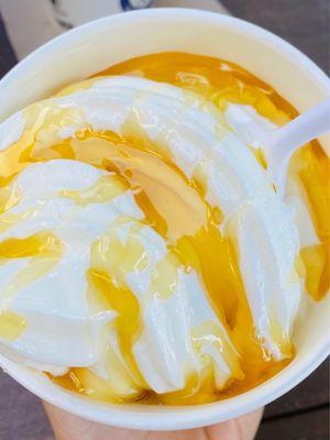 Frozen Yogurt with honey