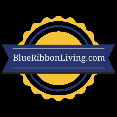 Blue Ribbon Virtual Administrators