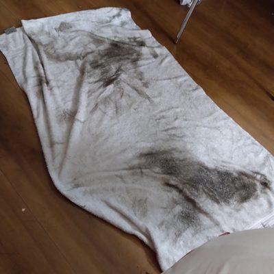 A picture of the towel u used to get from the bath to the bed. The rest of the floor is still caked in dirt,