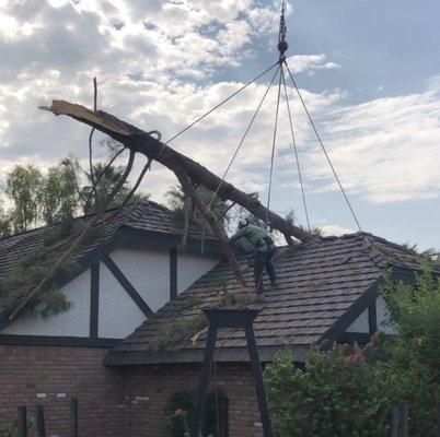 This pine tree broke off fell on this house. We use a crane to remove it